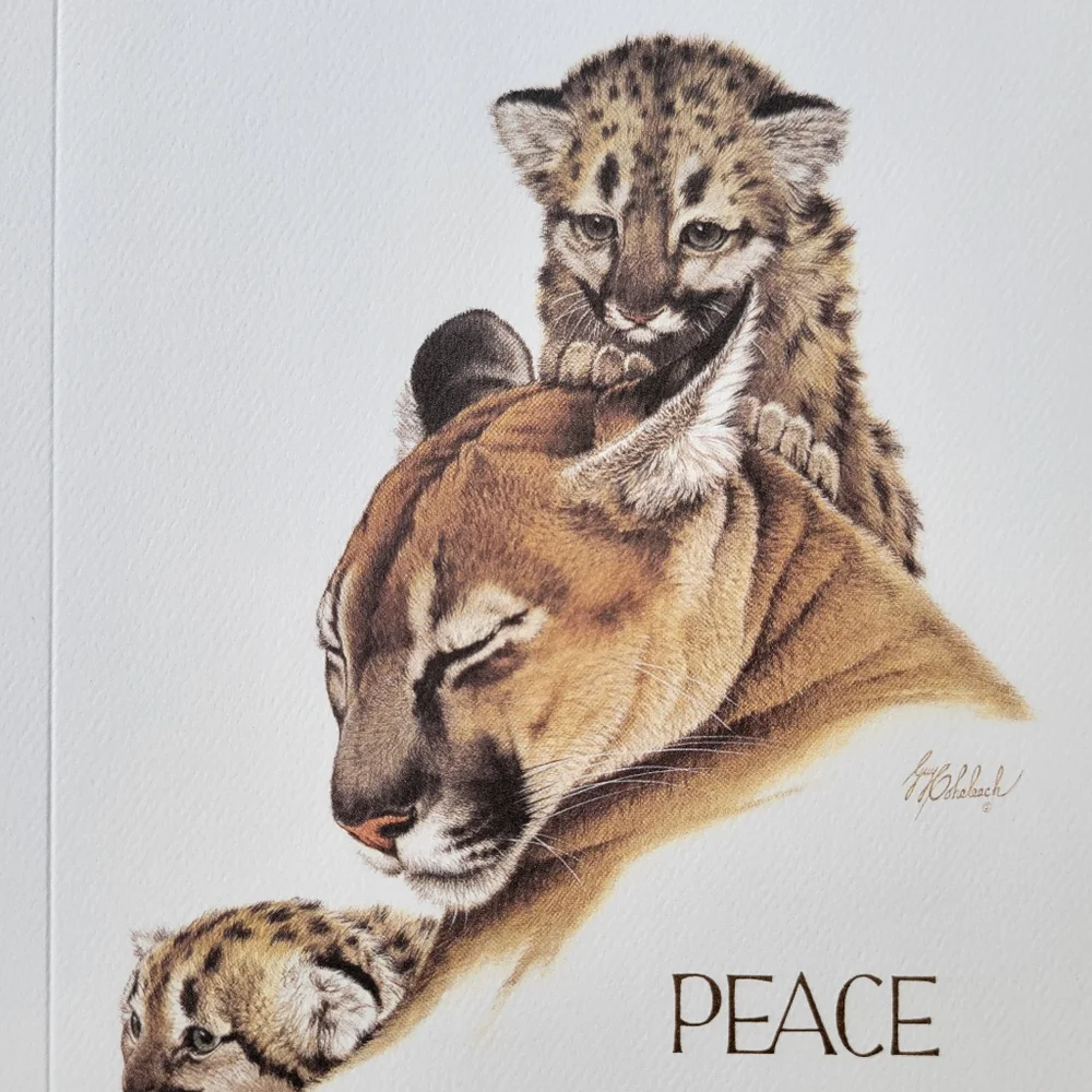 World Wildlife wildlife greeting